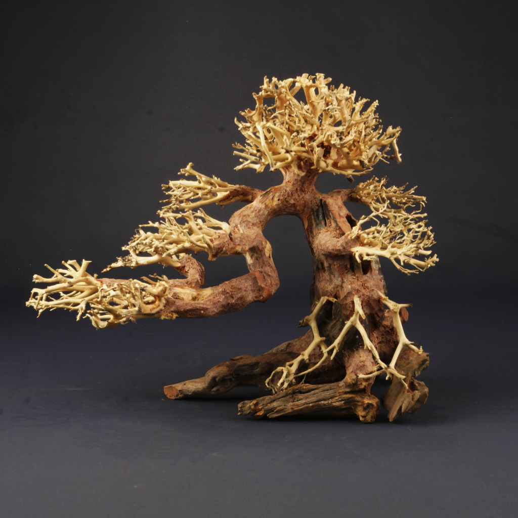 Bonsai Tree Driftwood for Aquascape Aquarium Shopee Singapore