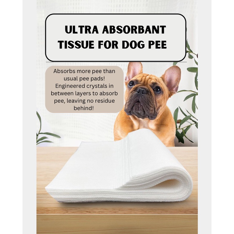 [Local stocks] Ultra absorbant dog pee tissue, pee pad, dog cleaning