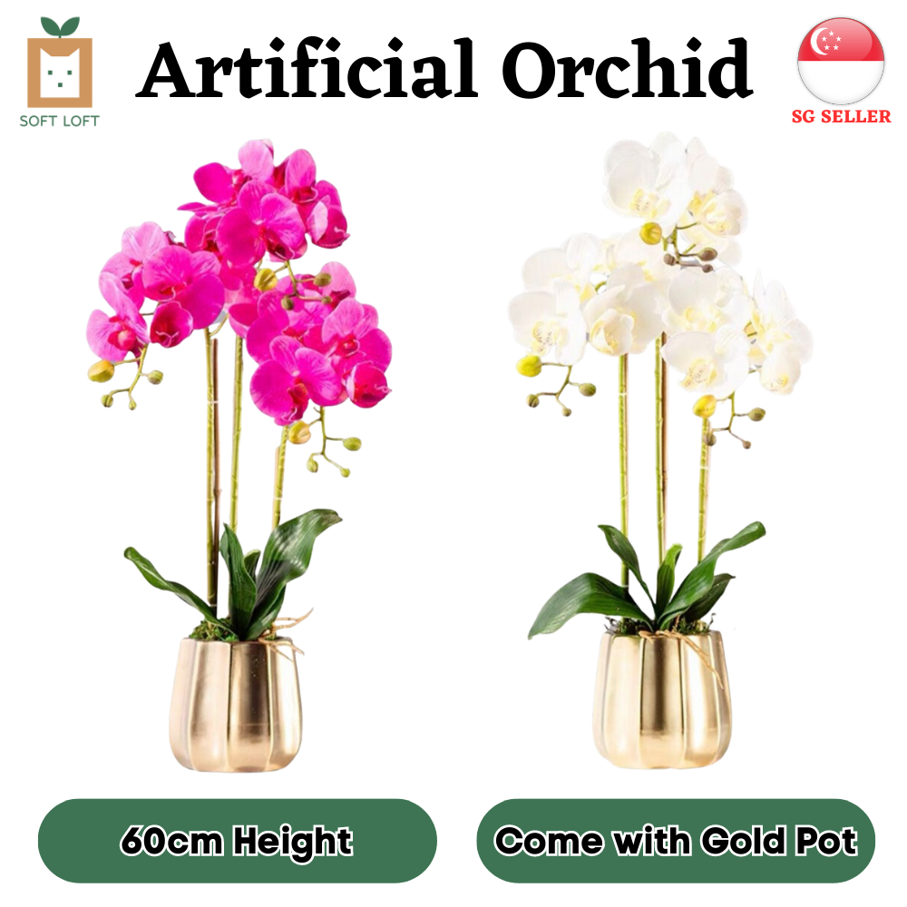 [SG SELLER] Large Artificial Orchid Fake Orchid With Gold Ceramic Pot