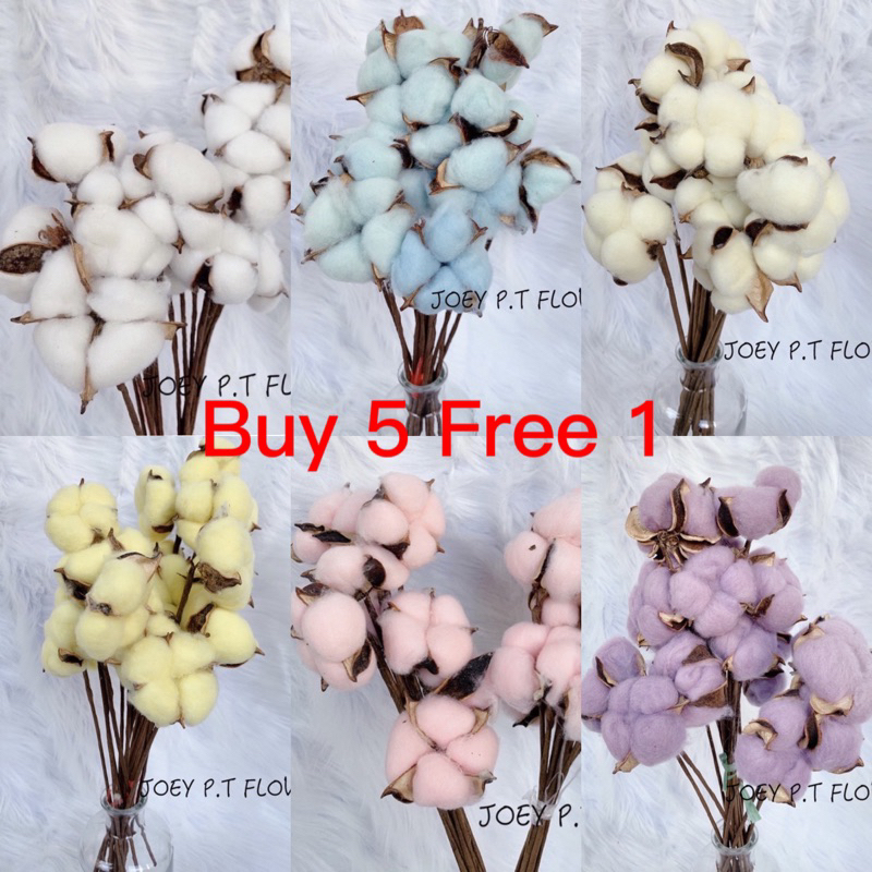 [SG READY STOCKS] Preserved Flower Wholesaler: Colourful Cotton Flower（10pcs/Bundle）
