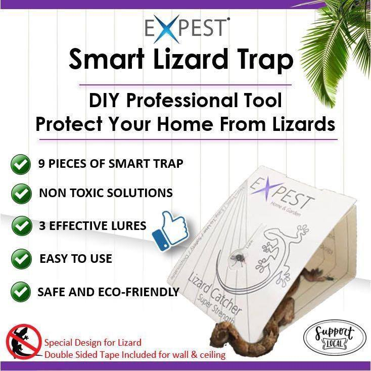 SG Stock) 9pcs (1 box) Lizard Catcher Sticky Trap EXPEST (Non