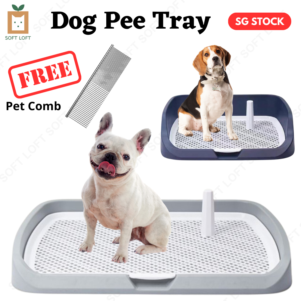 Dog Pee Tray / Pets / Dog Toilet / Training / Urine Tray / Litter Pan / Pee Pad Shopee Singapore