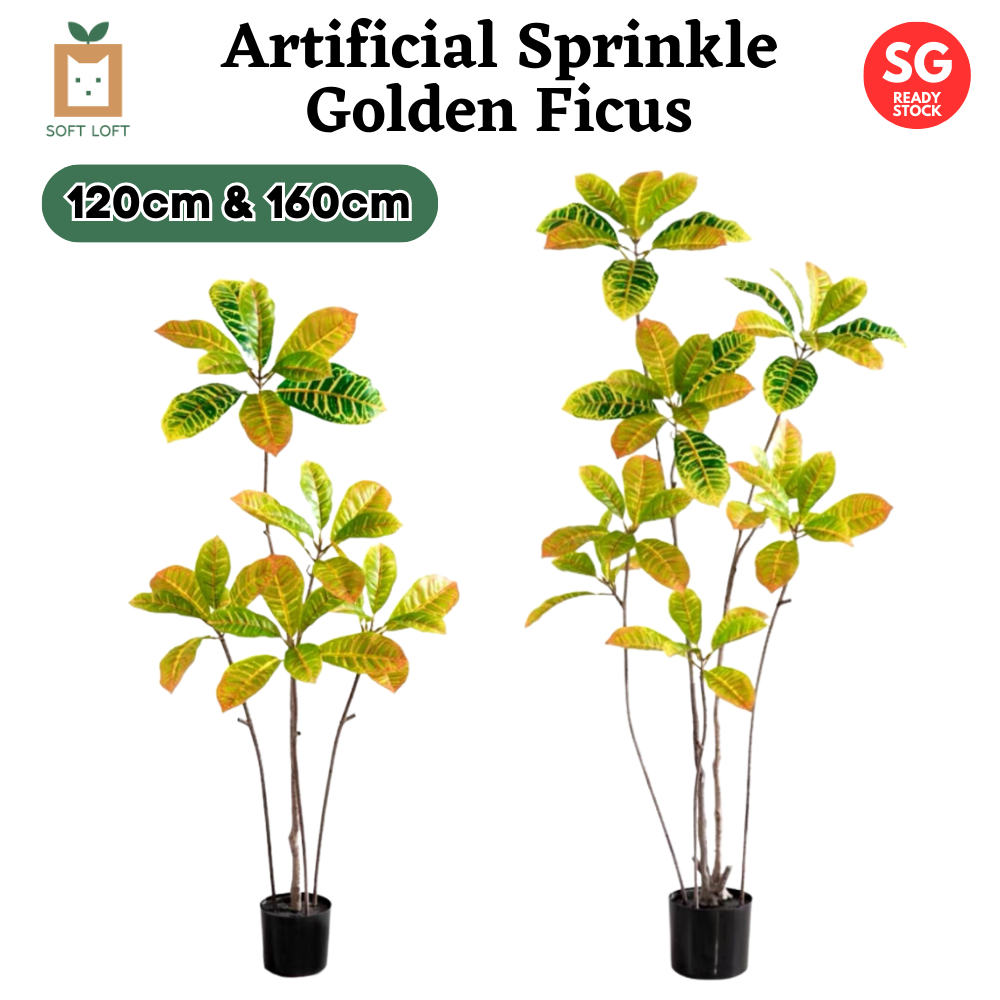 [SG SELLER] Artificial Sprinkle Golden Ficus Large Artificial Plant Fake Plant Faux Potted