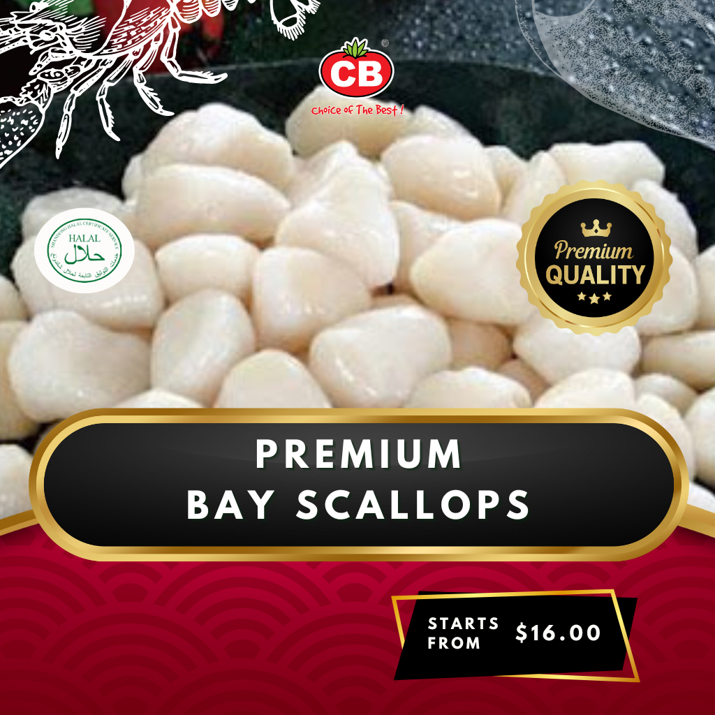 [CB] Premium Fresh Frozen Bay Scallops 1kg / 3kg / 5kg Frozen