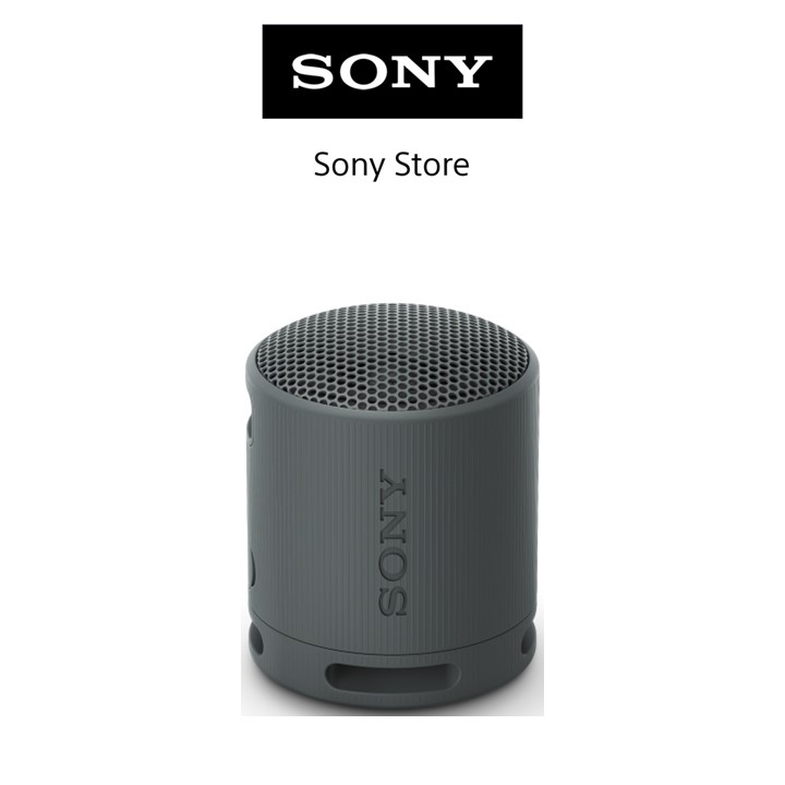 Sony Singapore SRSXB100 Portable Wireless Speaker Shopee Singapore