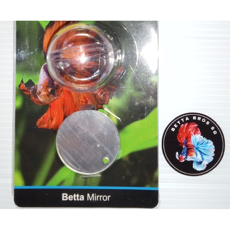 Floating mirror to train your Betta fishes Shopee Singapore