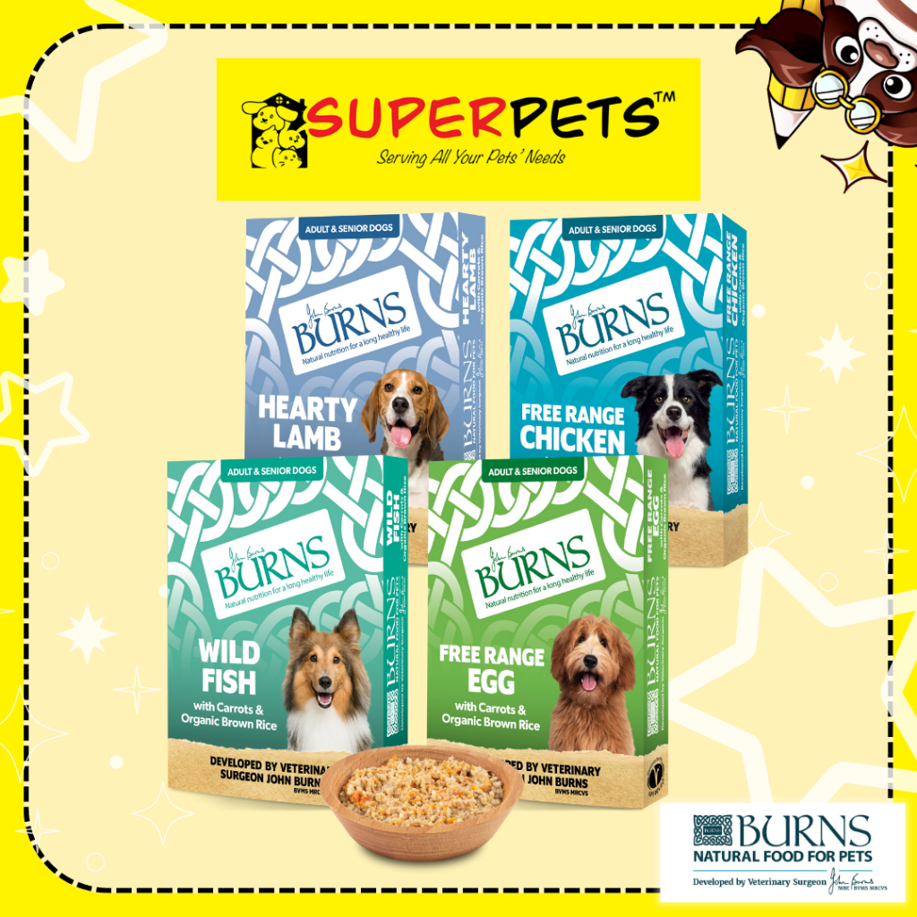 Burns wet dog food 150g sale