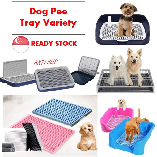 [SG SELLER] Dog Pee Tray Metal Pee Tray Plastic Tray Dog Puppy Toilet