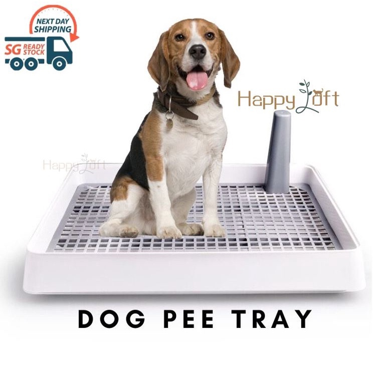 [SG SELLER] Dog Toilet Dog Pee Tray Dog Puppy Potty Toilet Training Dog Toilet Mat Dog Potty