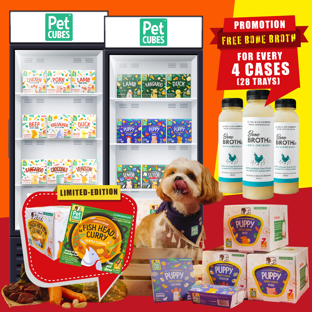 PetCubes Gently Cooked, Raw or Senior Fresh Frozen Dog Food 2.25kg