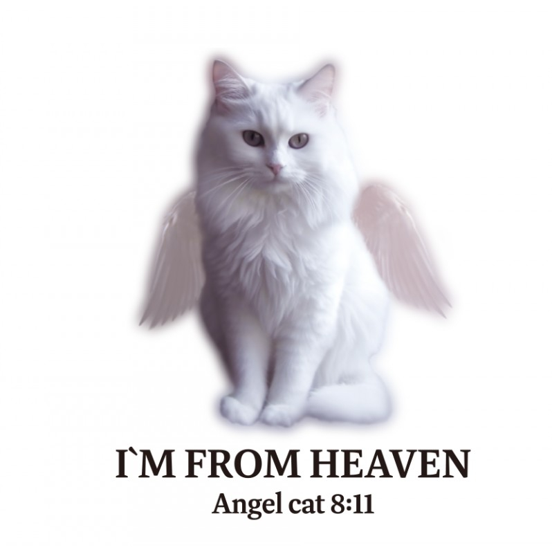 【ITZAVIBE】 ANGEL CAT CROP T-SHIRT VER.3 ITZAVIBE☆韓国アイドル着用☆ ANGEL CAT T SHIRT VER.3