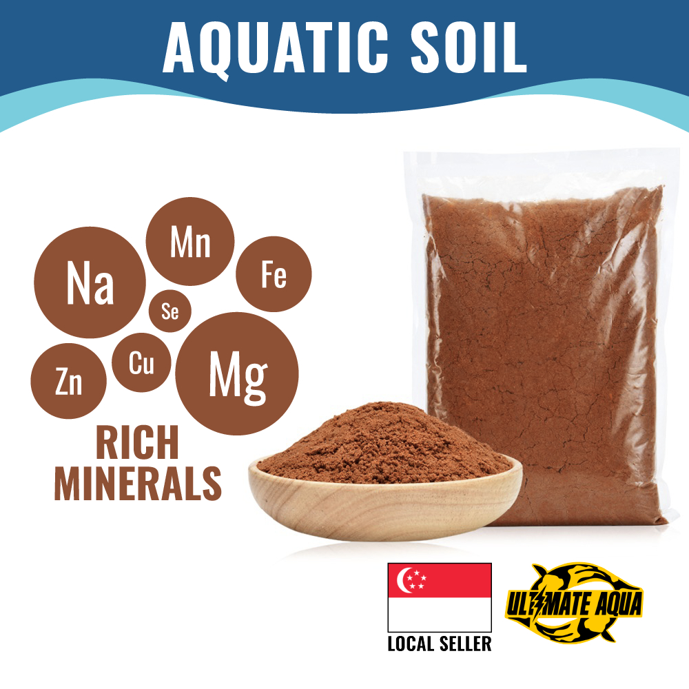 YEE Pure Natural Red Soil, Feeding Mat For Chinese Box Turtle | Sterile ...