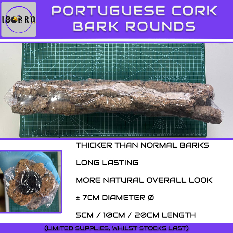 Portuguese Cork Bark Rounds — (Thicker than usual Cork Barks For Isopod