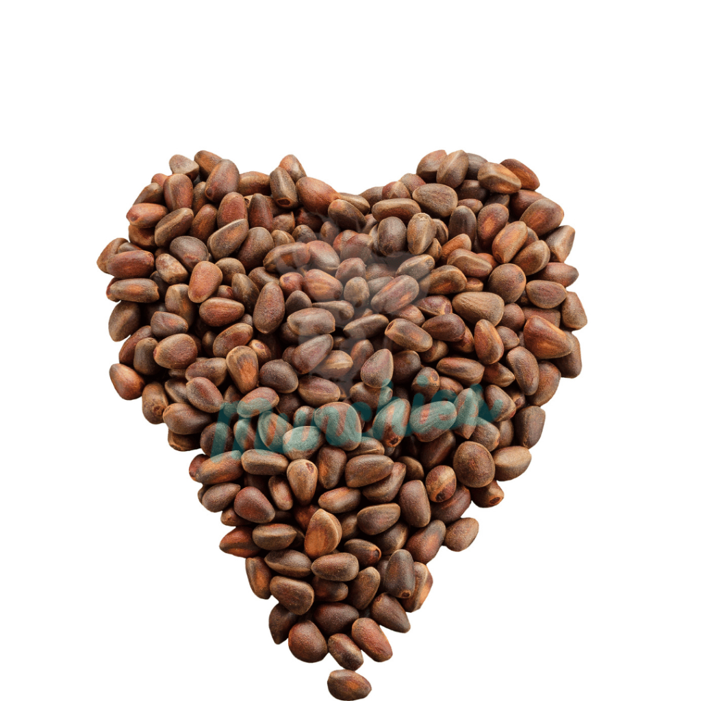 [SG Local Stock] Munchies Premium Grade RAW Pine Nut with Shell (Human Grade) for small pet