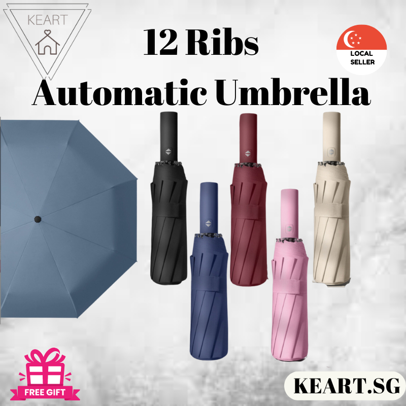 Automatic Umbrella 12 Ribs Windproof Auto Open Close Umbrellas Shopee Singapore