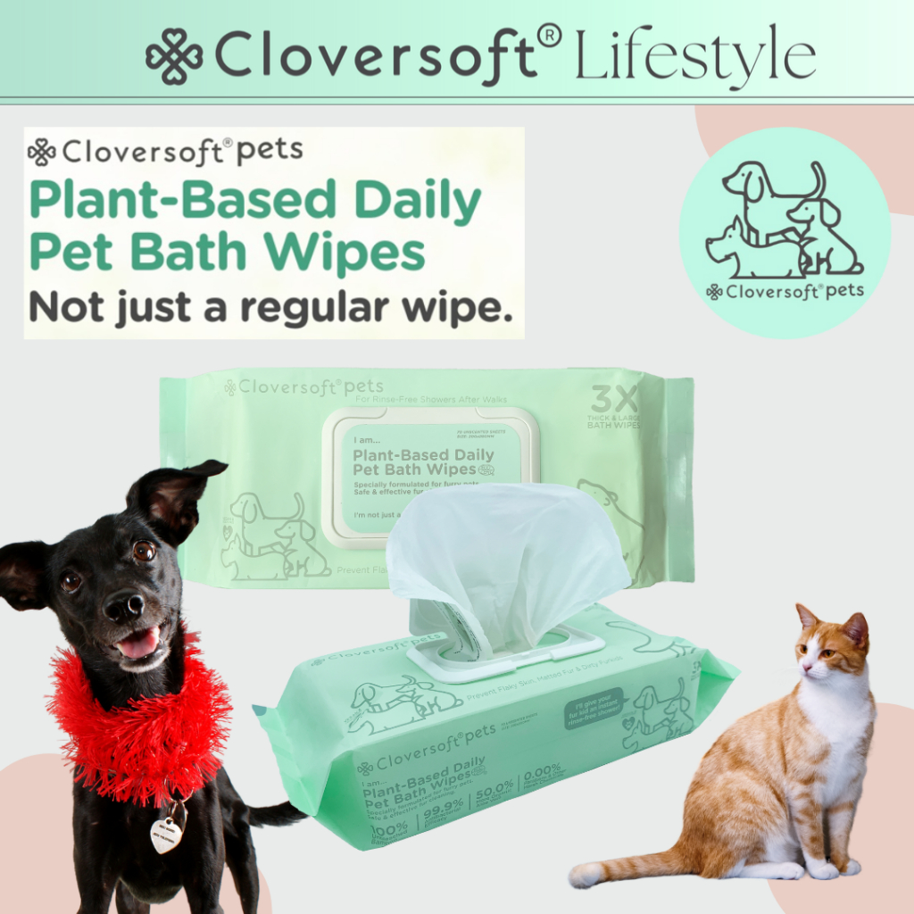 [Cloversoft Official] Pet Bath Wipes Safe for Dogs and Cats (70 Sheets