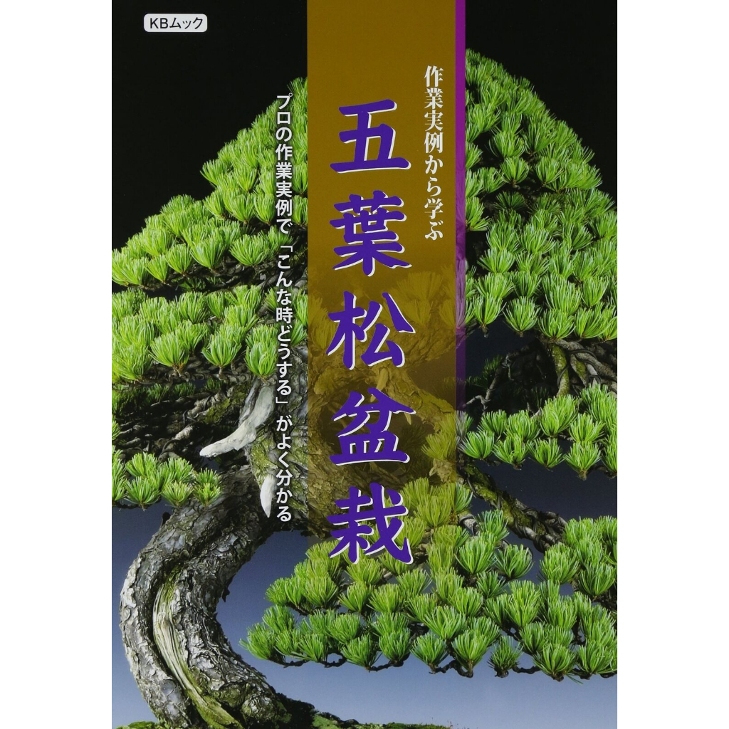 five-leaf-pine-bonsai-to-learn-from-work-examples-professional-work