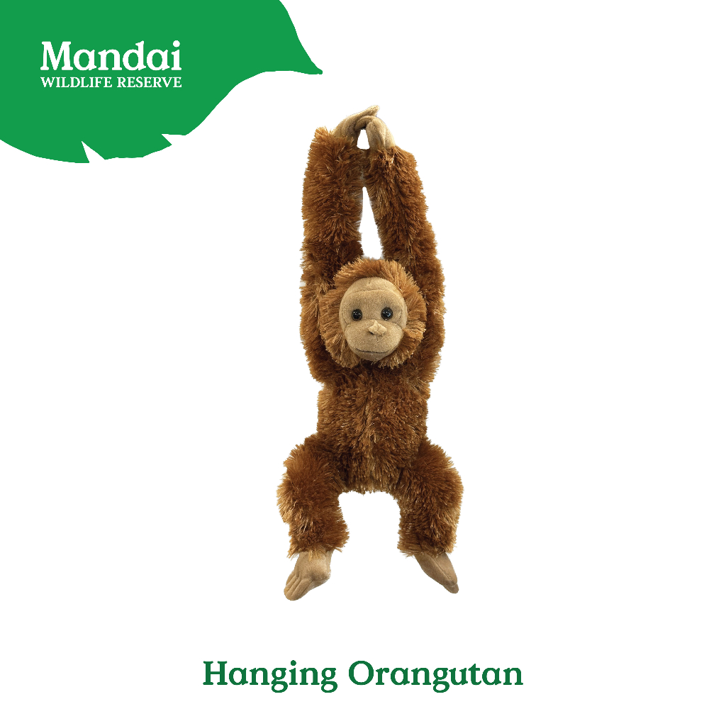 Hanging Orang Utan Plush Toy Stuffed with Realistic Details Textures