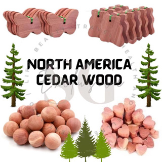 100pcs Natural Cedar Wood Balls Moth Repellent For Drawers Storage