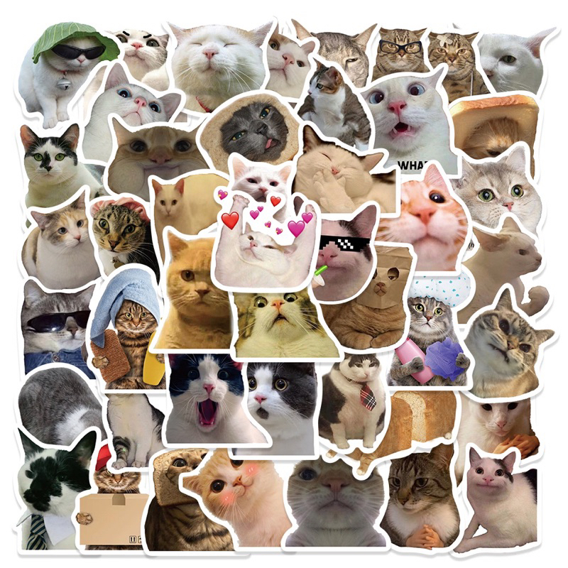 SG Stock (50pcs/Set) Funny cat meme Stickers Cute Cats Emoji Sticker ...