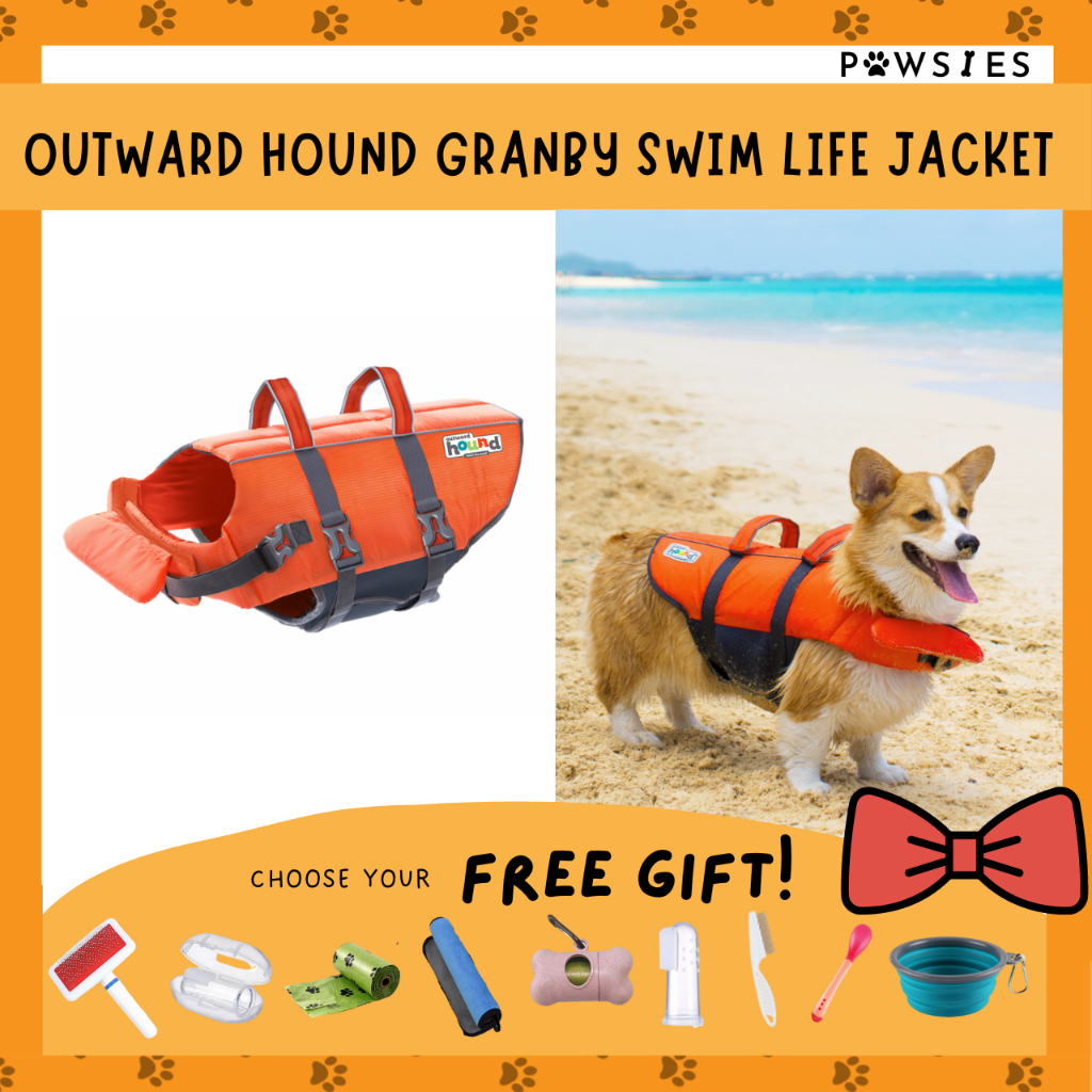 Outward hound granby outlet splash dog life jacket