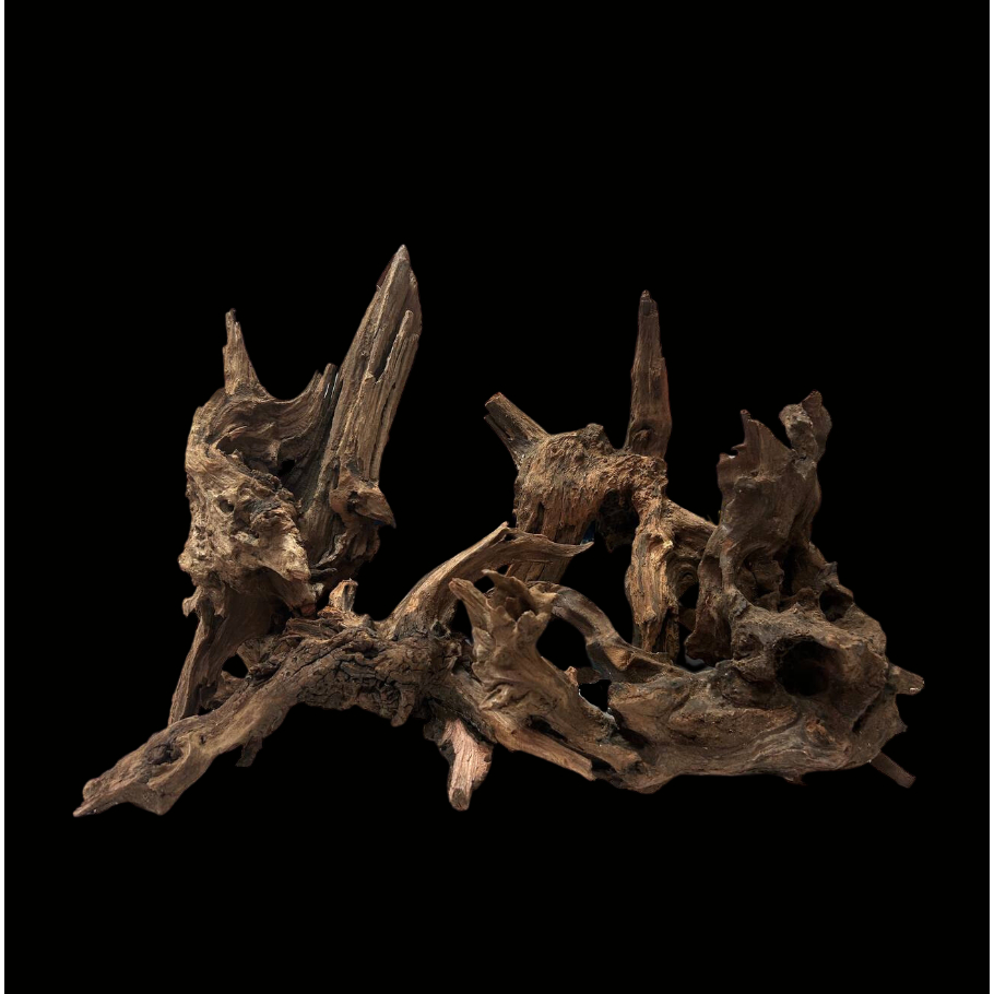 [NEW IN SG] Chinese Driftwood for Aquascape Paludarium Terrarium Decor Aquarium Shopee Singapore
