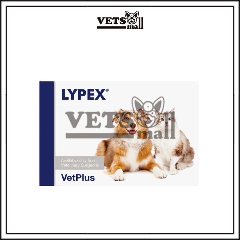 Lypex for dogs hotsell