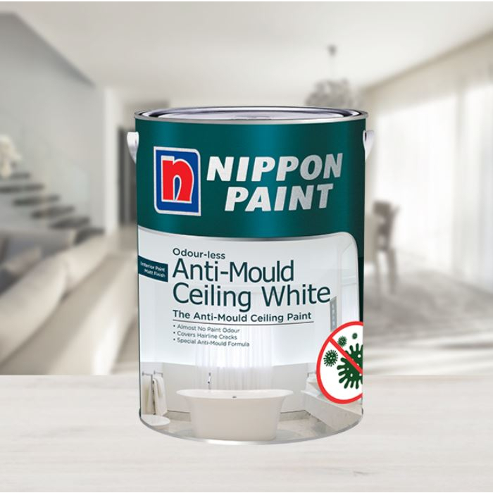 Odourless Antimould Ceiling and Odourless Sealer Special Package