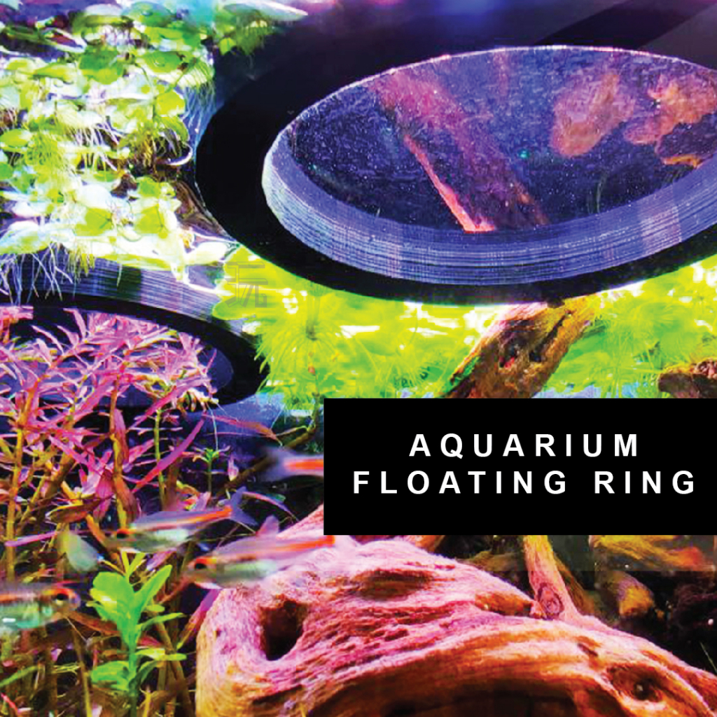 🇸🇬 Fish Tank Floating Ring - 🐠 3D Printed Aquarium Accessories That ...