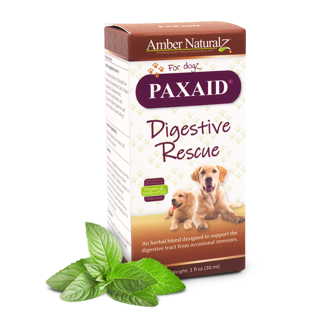 Thumbnail for Natural Digestive Supports For Dog Diarrhea