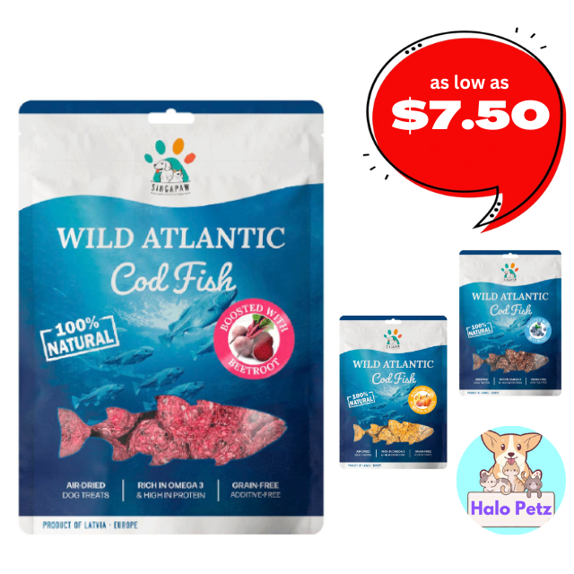 SingApaw Wild Atlantic Cod Fish 70g Dog Treats (Beetroot, Blueberry ... - Blueberry And Cod Dog Food For Hypothyroid