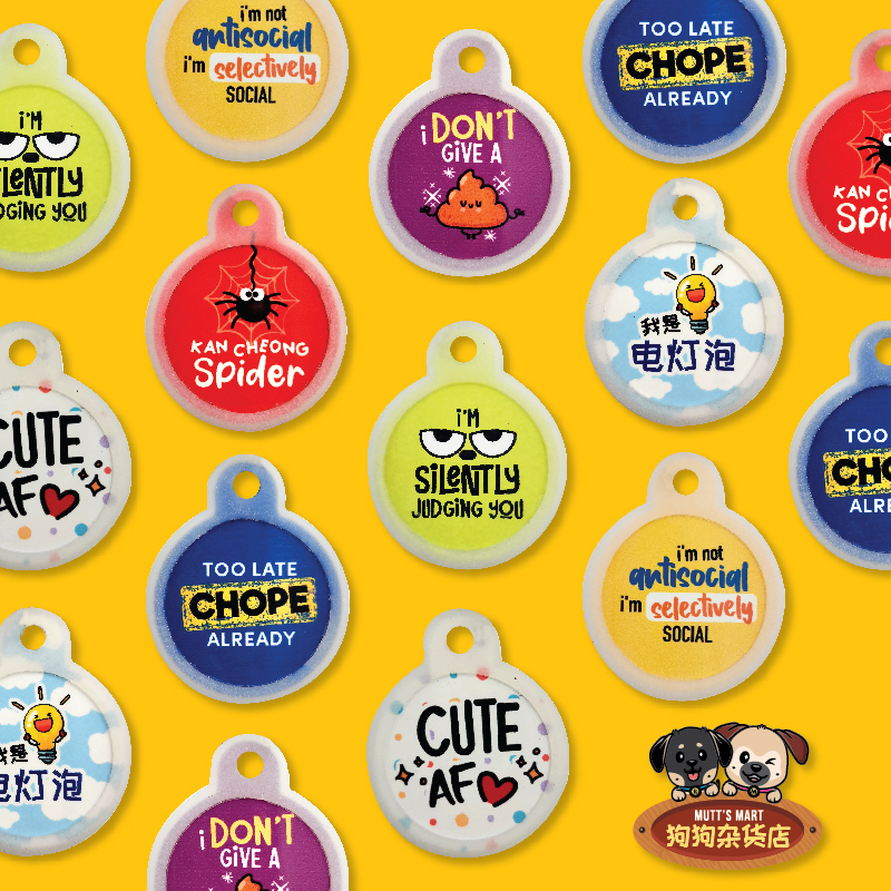 Personalized dog hotsell tags for kids