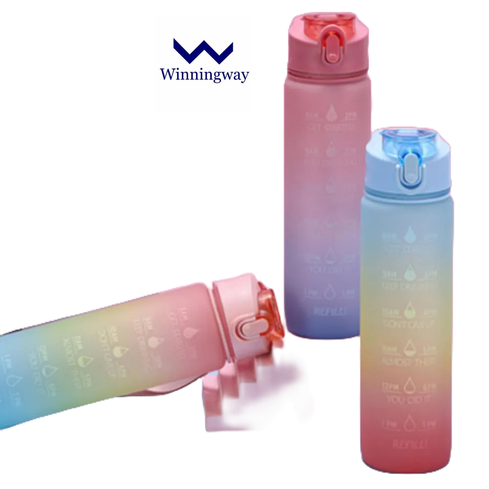 Winningway 700ML gradient rainbow color water bottle plastic with straw