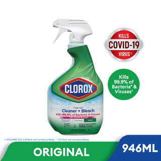 Clorox® Mold & Mildew Remover with Bleach