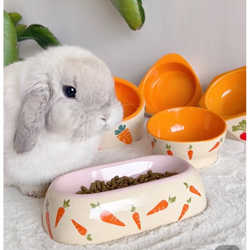 Ceramic pet food dish water bowl for rabbit bunny guinea pig Shopee Singapore