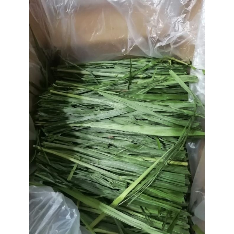 View of Dried herbs, Hay cubes, Carrot top, Dandelions for Rabbits, Guinea pigs ...