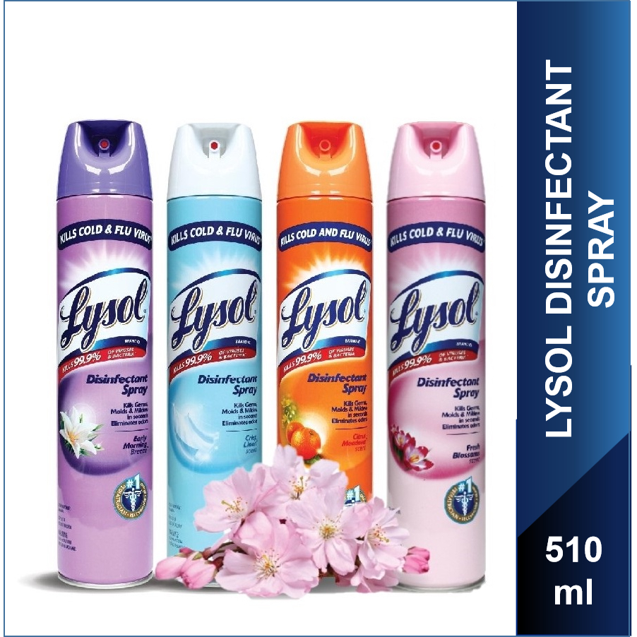 Lysol Disinfectant Spray Eliminates Odors, 340ml / 510g / 538g