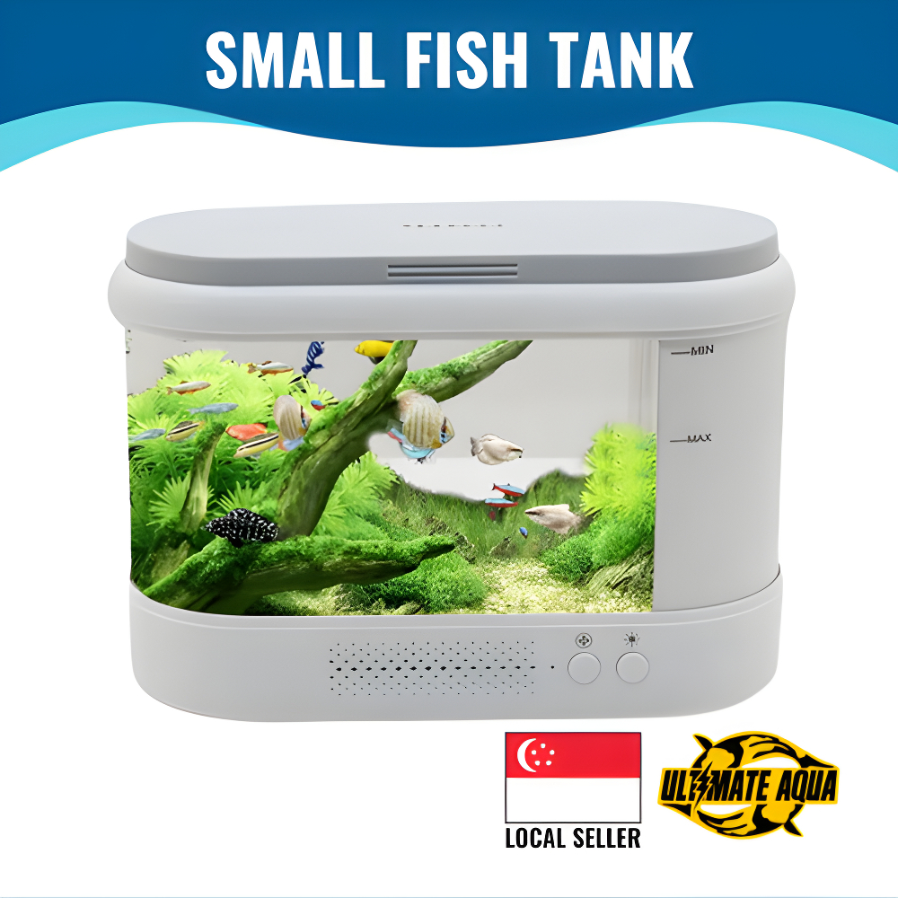 View of YEE Small Fish Tank, Free Water Change Ecological Self-circulating ...