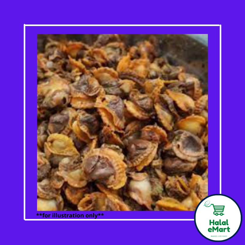 Isi Kerang/ Clam Meat 1kg Frozen Halal (L Size) Shopee Singapore