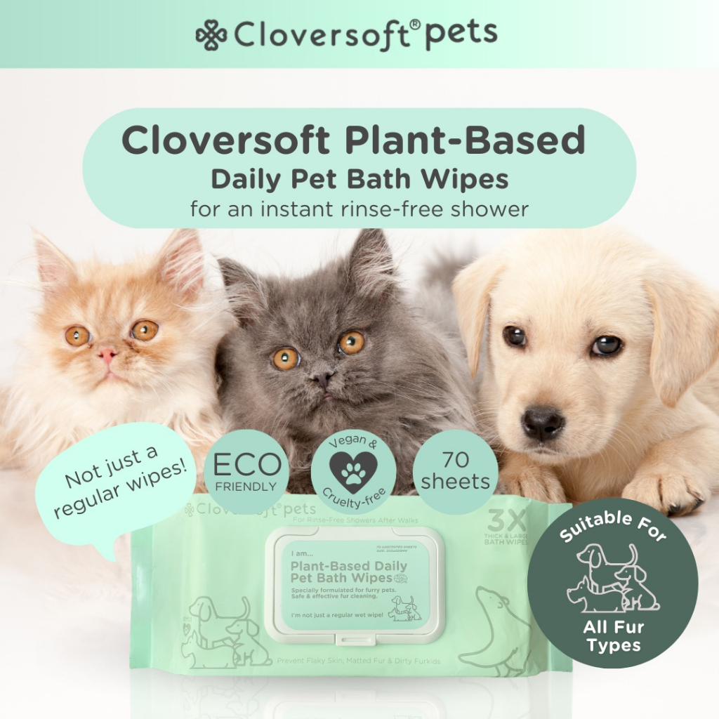 [Cloversoft Official] Pet Bath Wipes Safe for Dogs and Cats (70 Sheets