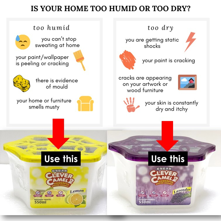 Dehumidifier for Closet Humidity Absorber Boxes, Moisture Absorber ...