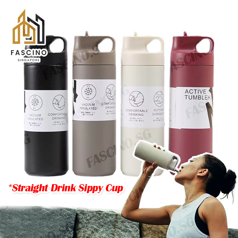 【SG】304 Stainless Steel Thermal Bottle with Straw 480ml Sport Water ...