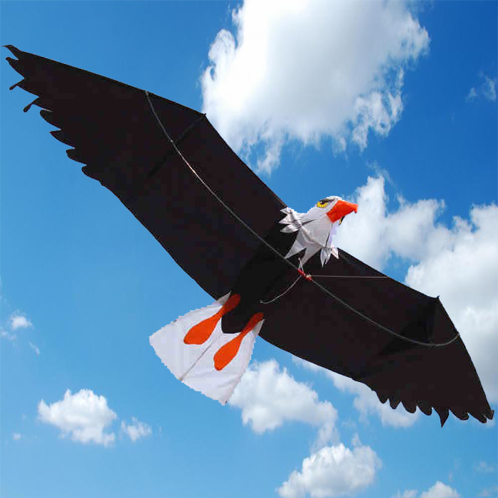 3D Bald Eagle Kite ☆KiteCulture☆ | Shopee Singapore