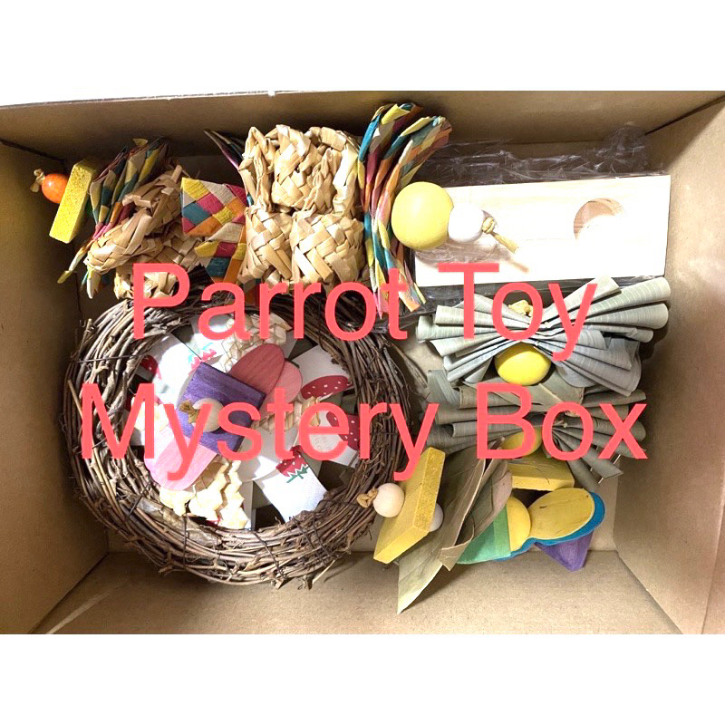 (no hook) Parrot Toy Mystery Box for Small & Medium sized Parrots/Birds