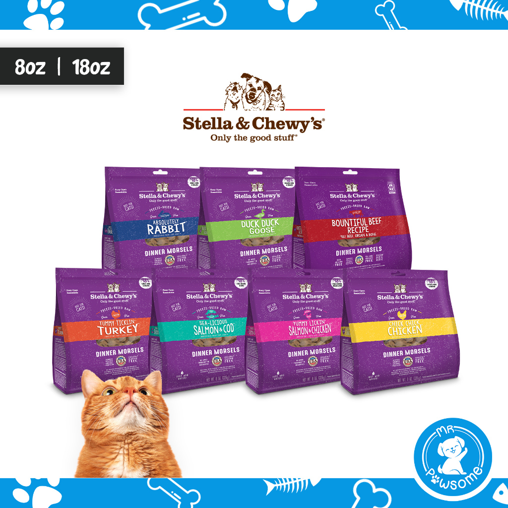 Stella & chewy's hotsell freeze dried cat food