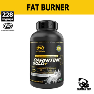 pvl l carnitine gold Kevin Levrone Gold L-Carnitine 3000, 500ml main image 1