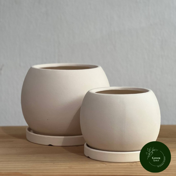 Sphere Ceramic Pot & Saucer By Green Sprout P09 Shopee Singapore