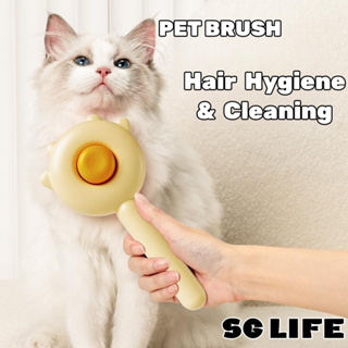 Pet Grooming Brush Hair Remover Hot Steam Technology Rechargeable Shedding  Brush for Cats Rabbits Dogs Pet