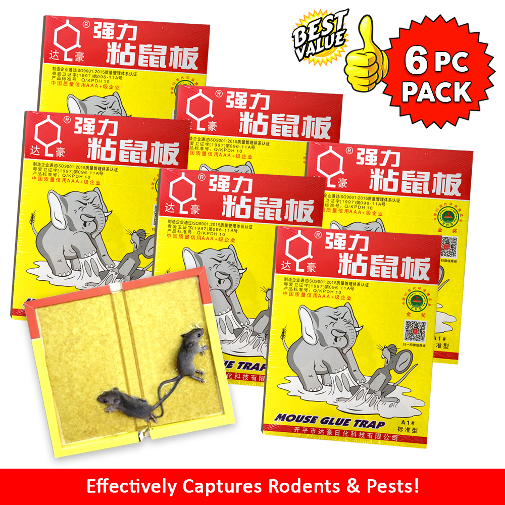 6 Pc Pack | Large Big rats/ Mouse Glue Catcher Adhesive Sticky Glue Pad ...