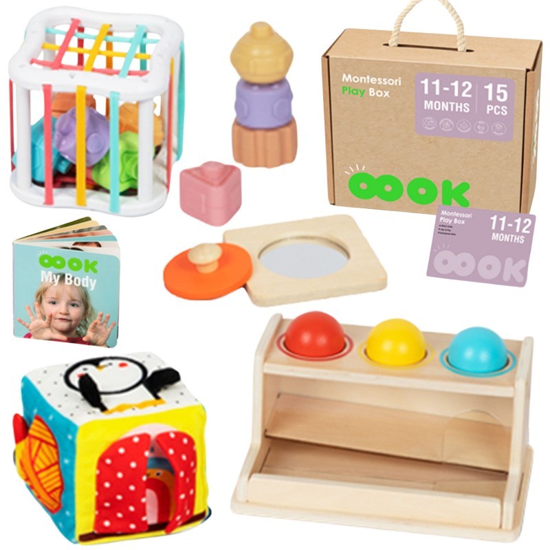 Montessori Toys Play Kit for 11 to 12 Months Old Educational Toys